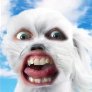 Meet your Posher, Joshua